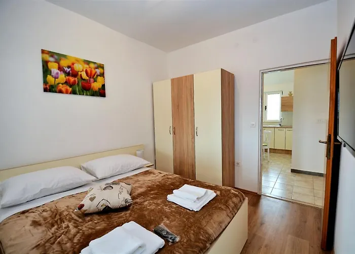 Allegro * Сукошан